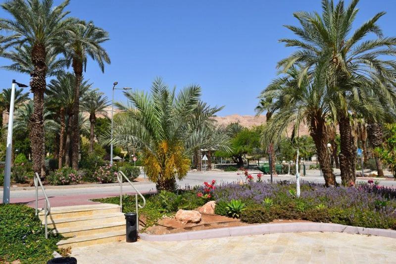 כפר נופש קלי"ה ים המלח Hotel Kalia ภายนอก รูปภาพ