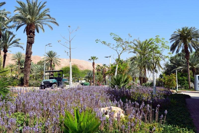 כפר נופש קלי"ה ים המלח Hotel Kalia ภายนอก รูปภาพ